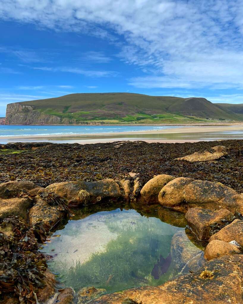 Third Prize: Cara Duncan with 'Rockpool Treasures'